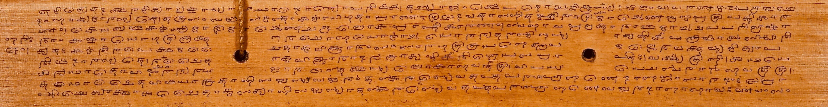 Long narrow palm-leaf manuscript strip of a Chandogya Upanishad commentary in Grantha script from the Whish collection.
